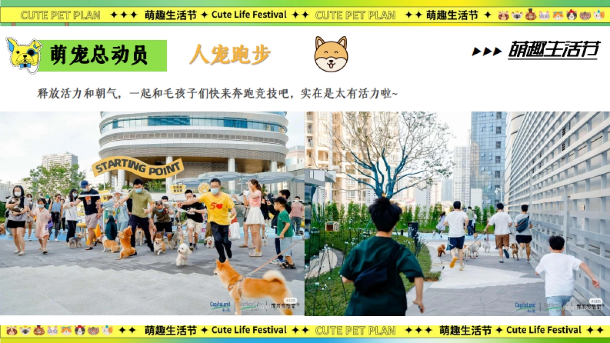 萌宠造趣生活节-宠物集市游园嘉年华活动策划方案_第10页