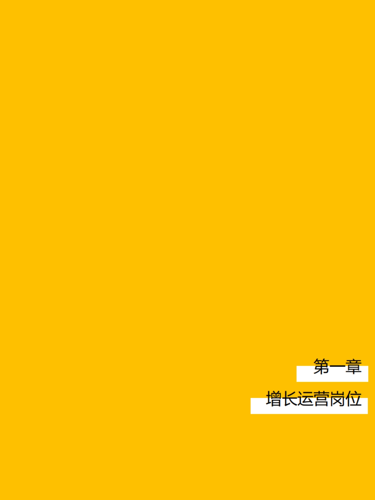 运营高薪图谱_第2页