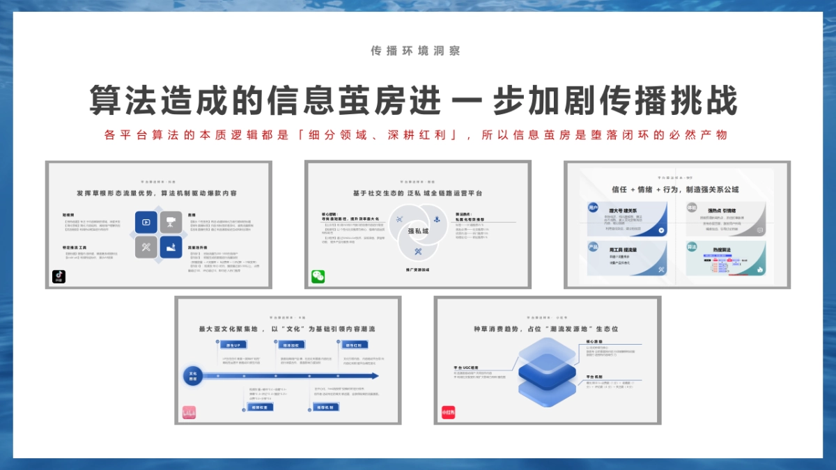 2024-2025年比亚迪海洋系列新媒体官方账号年度直播运营方案_第10页