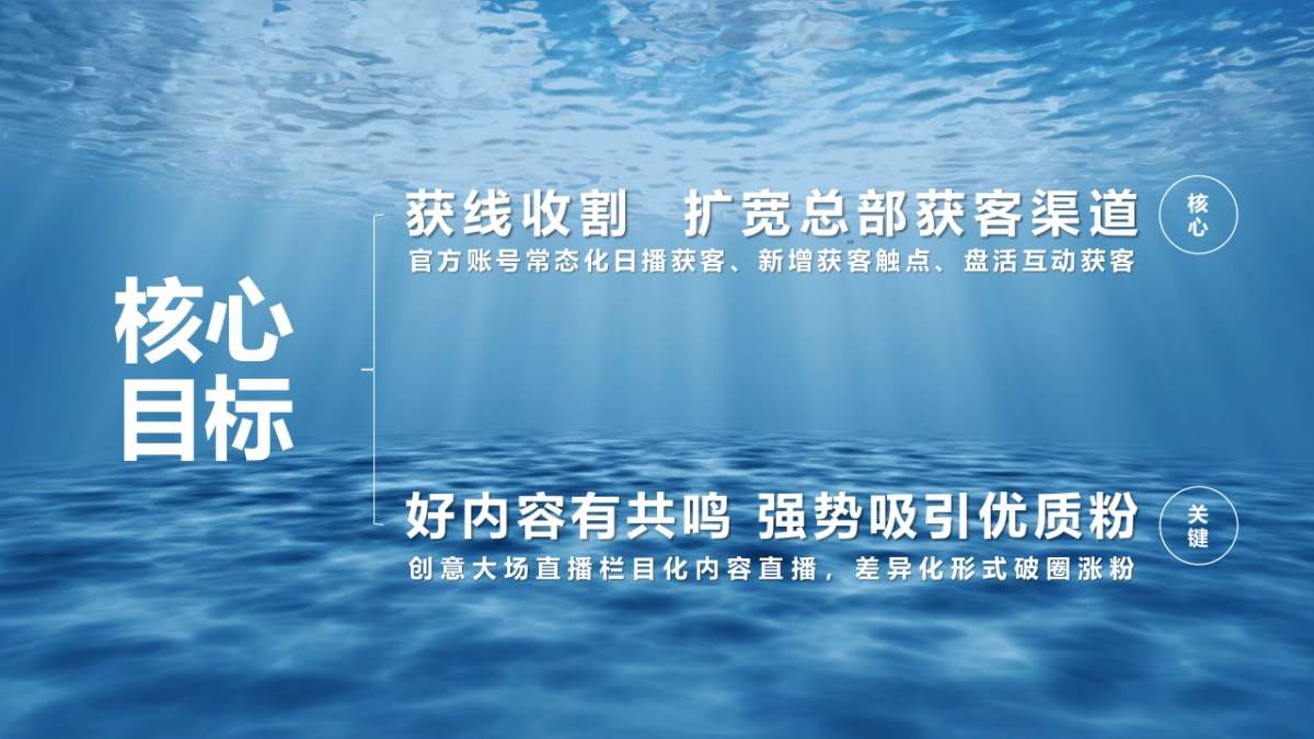 2024-2025年比亚迪海洋系列新媒体官方账号年度直播运营方案_第3页