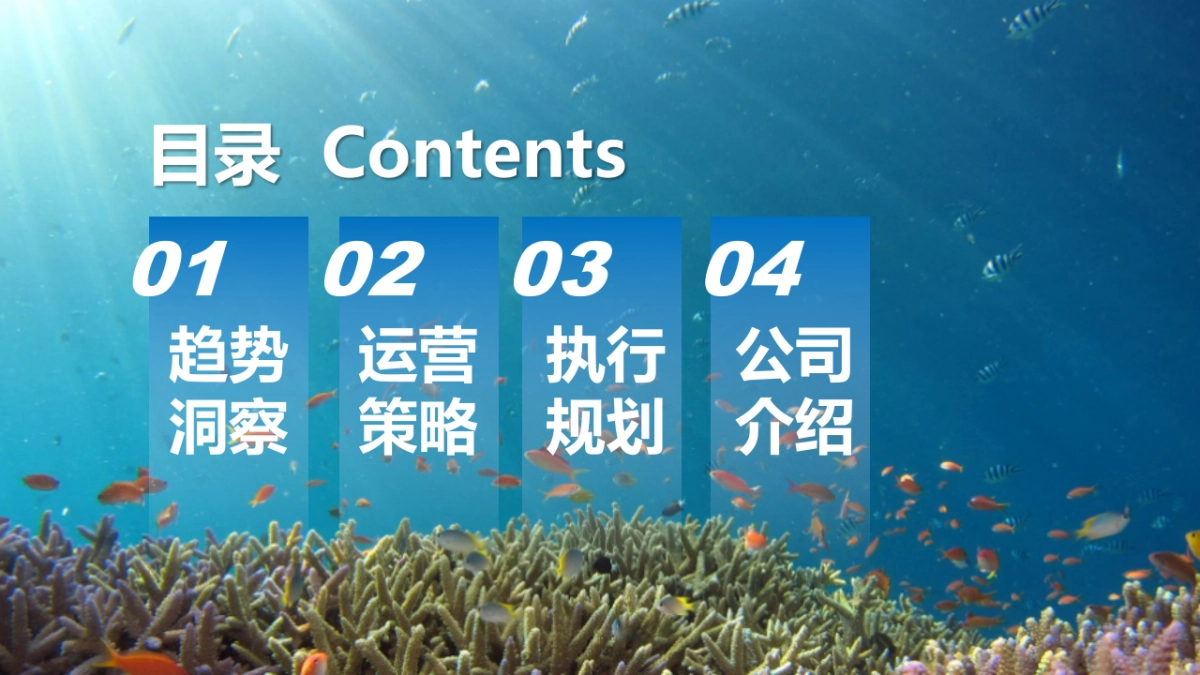 2024-2025年比亚迪海洋系列新媒体官方账号年度直播运营方案_第4页