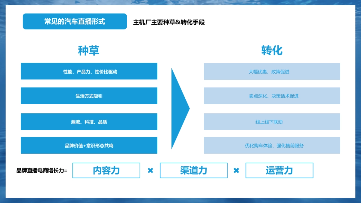 2024-2025年比亚迪海洋系列新媒体官方账号年度直播运营方案_第8页