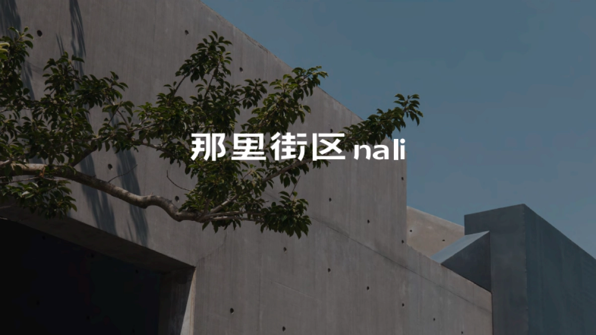 大理那里街区品牌手册_第1页