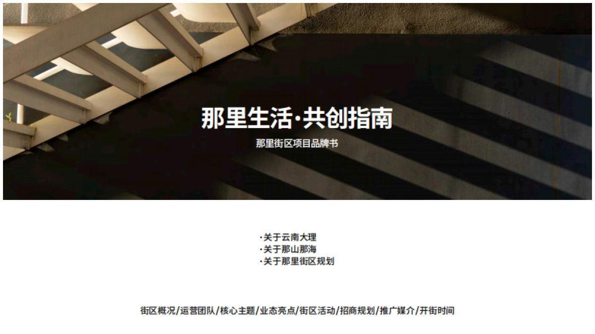 大理那里街区品牌手册_第10页