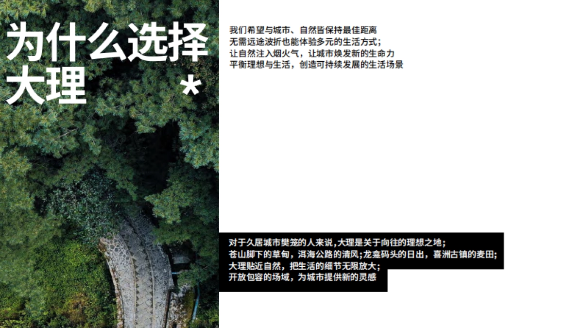 大理那里街区品牌手册_第5页