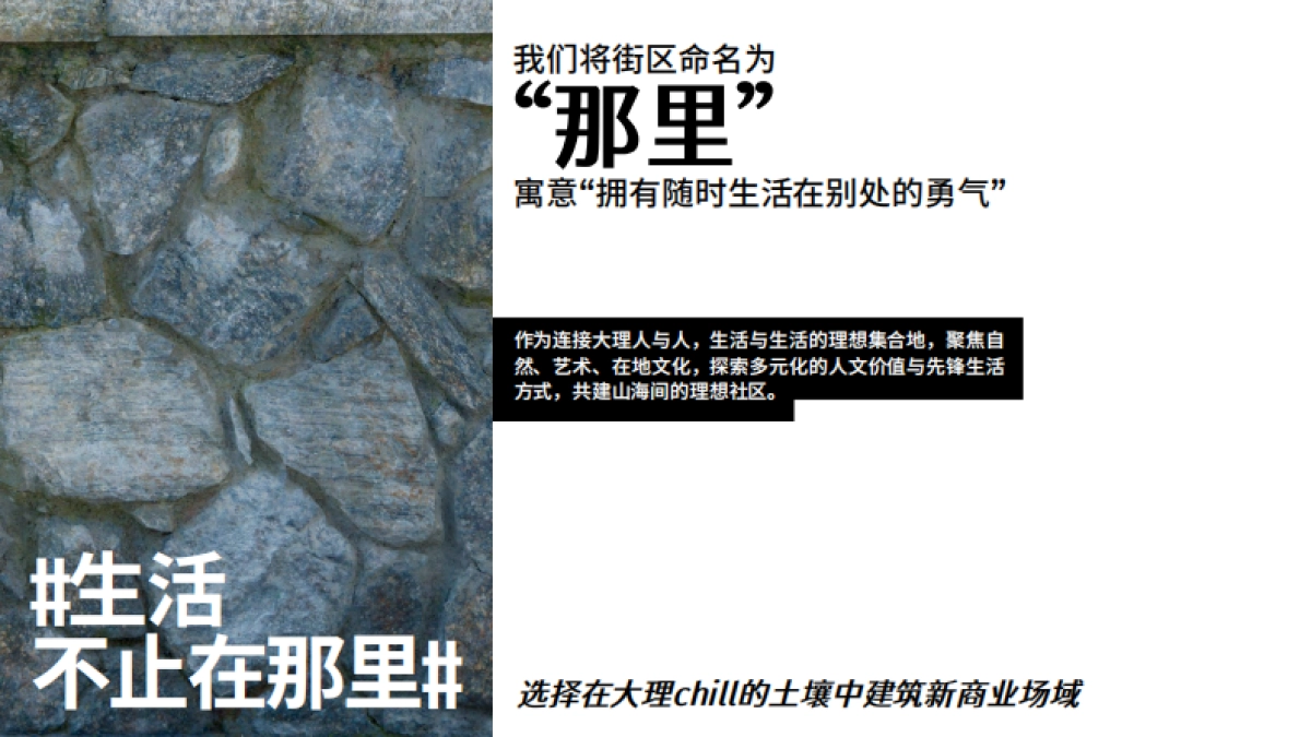 大理那里街区品牌手册_第6页