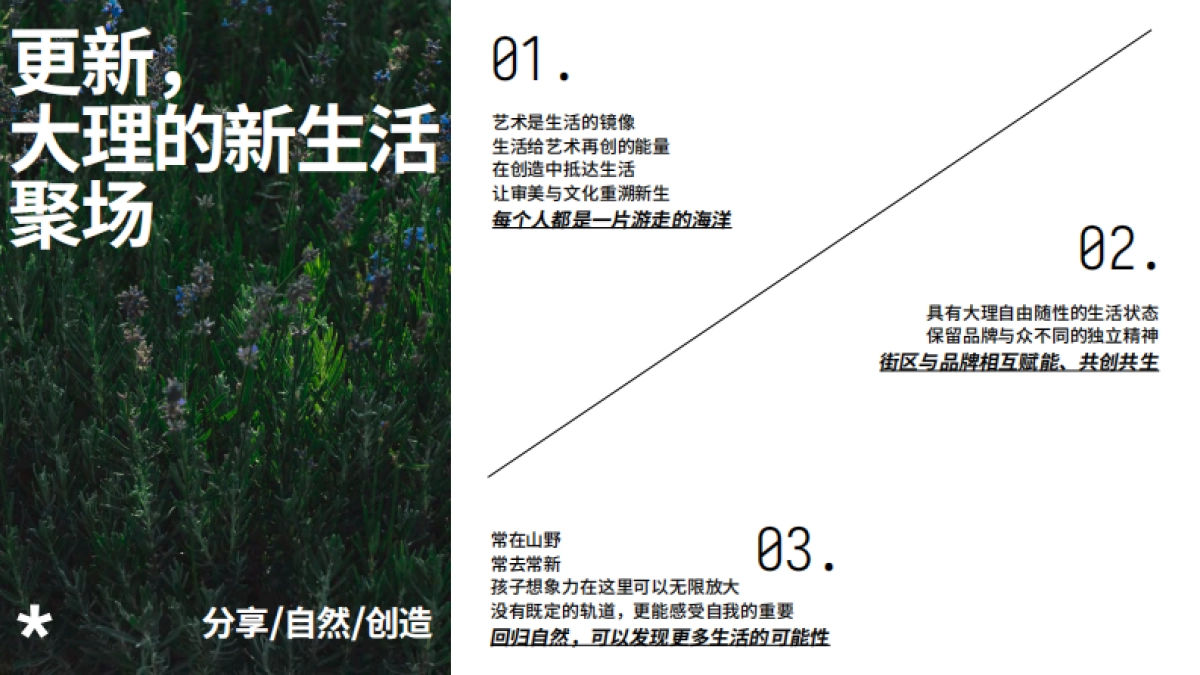 大理那里街区品牌手册_第8页