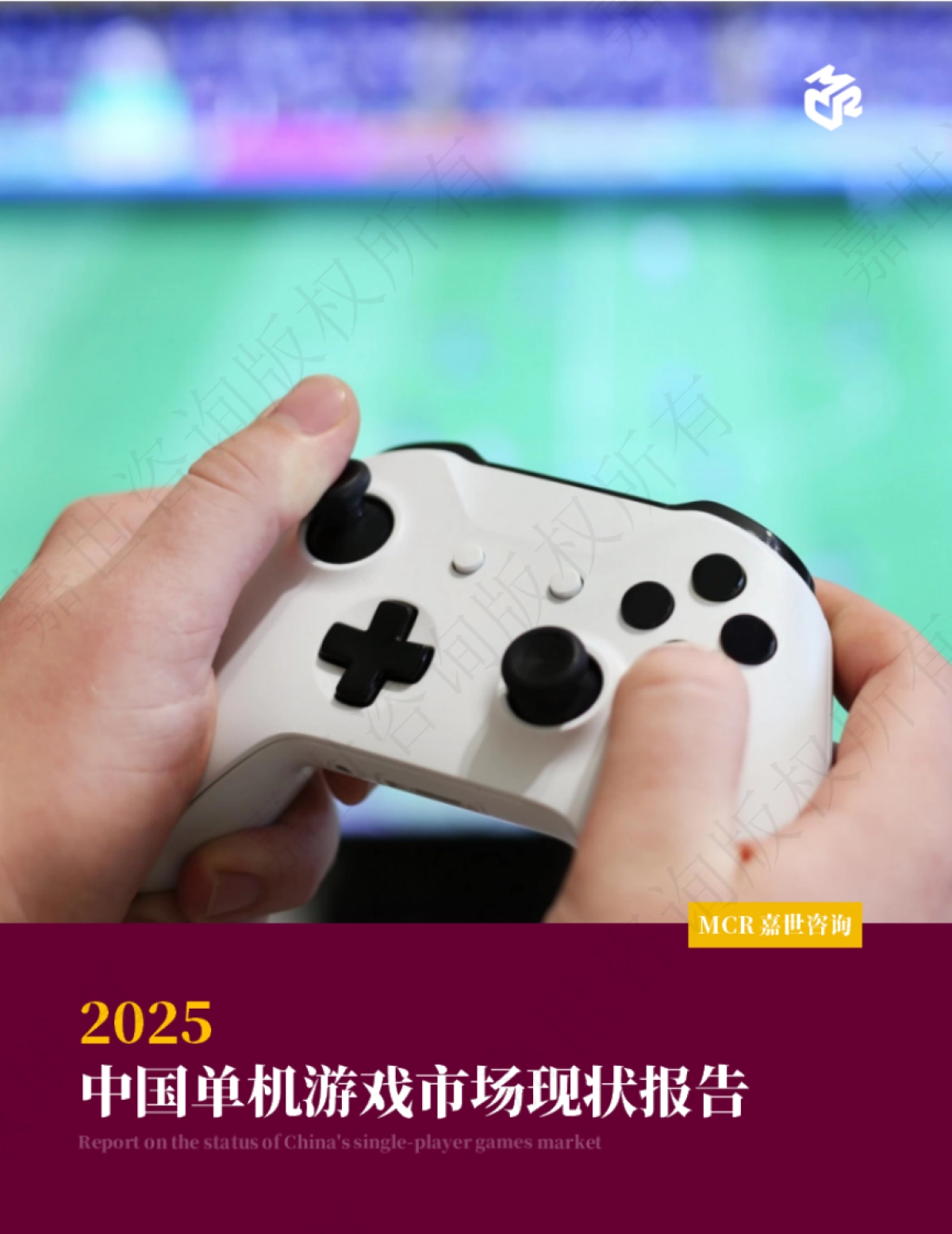 2025年中国单机游戏市场现状报告_第1页
