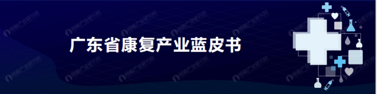 2025年广东省康复产业蓝皮书_第1页
