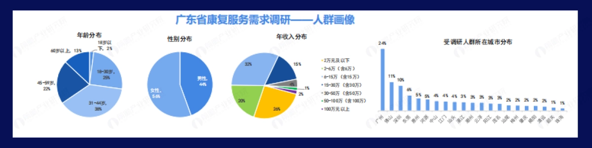 2025年广东省康复产业蓝皮书_第10页