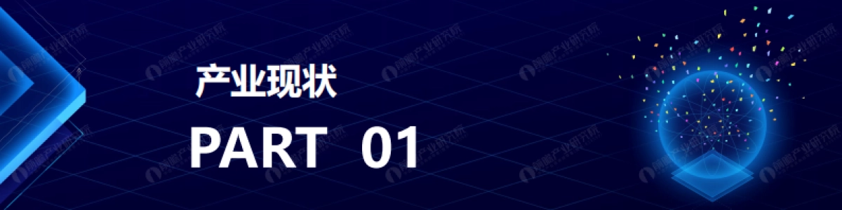 2025年广东省康复产业蓝皮书_第3页