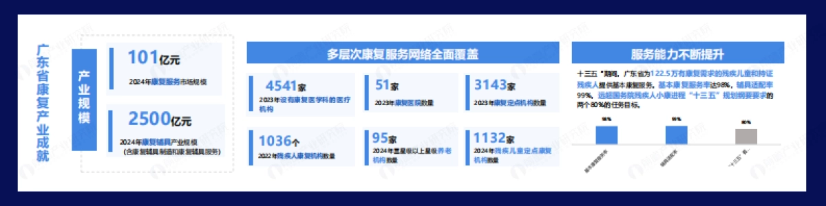 2025年广东省康复产业蓝皮书_第5页