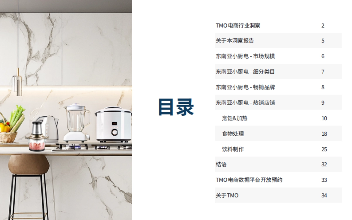 东南亚小厨电电商行业市场洞察报告(2025年6月版)_第4页