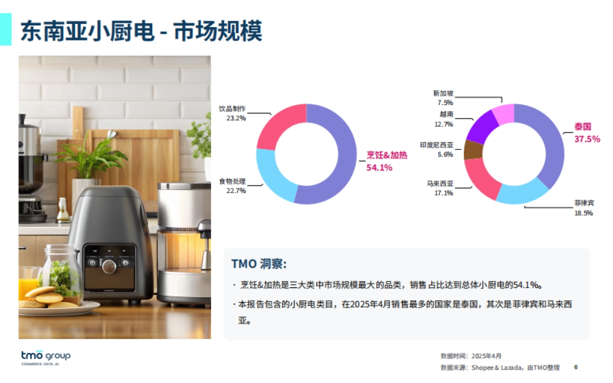 东南亚小厨电电商行业市场洞察报告(2025年6月版)_第6页