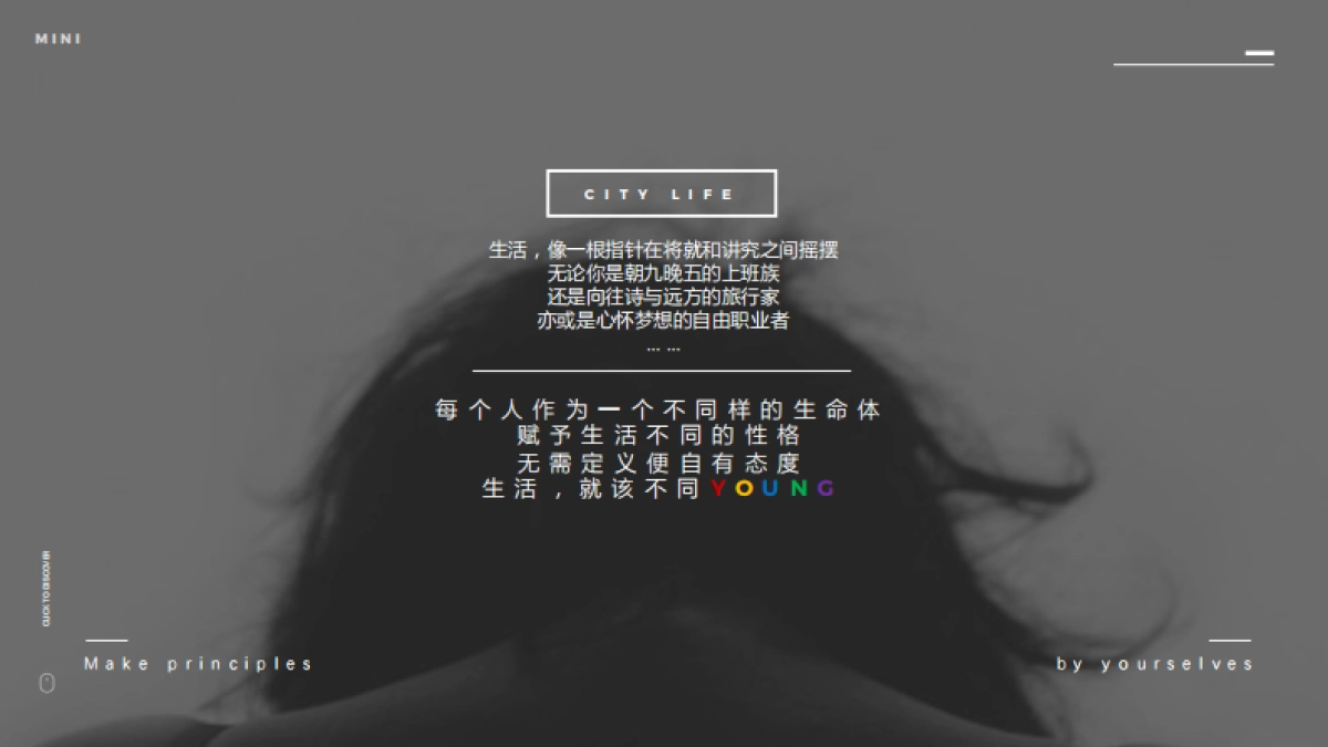 2024汽车品牌MINI全年年度营销方案_第5页