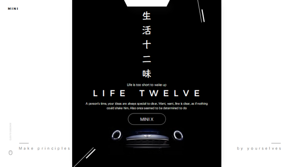 2024汽车品牌MINI全年年度营销方案_第8页