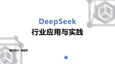 2025年DeepSeek行业应用实践报告