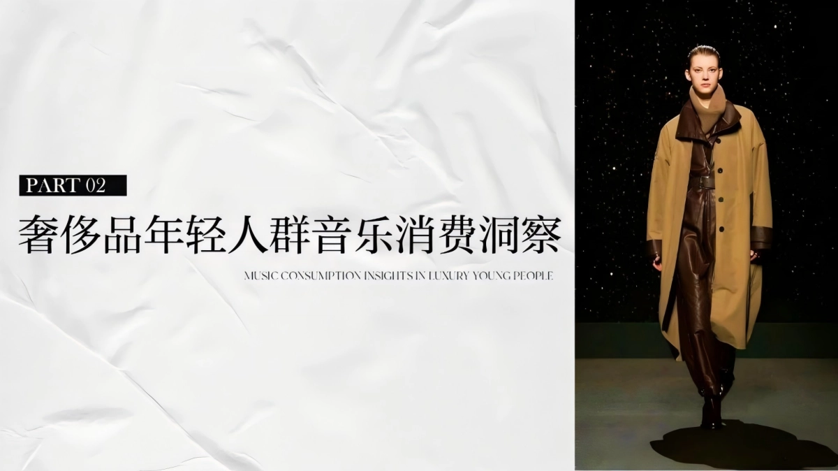 网易云音乐奢侈品行业营销解决方案_第6页