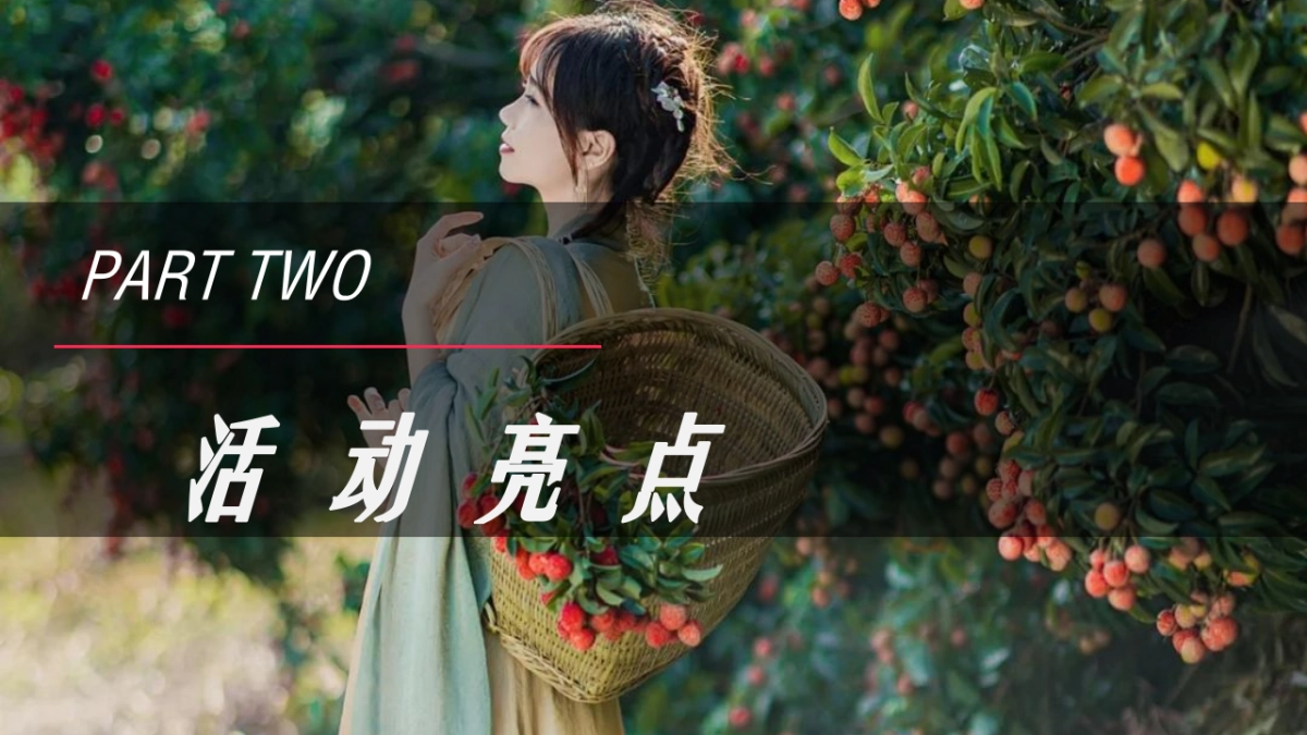 荔香古韵梦回千年荔枝文化节（荔香古韵·梦回千年主题）活动策划方案_第10页