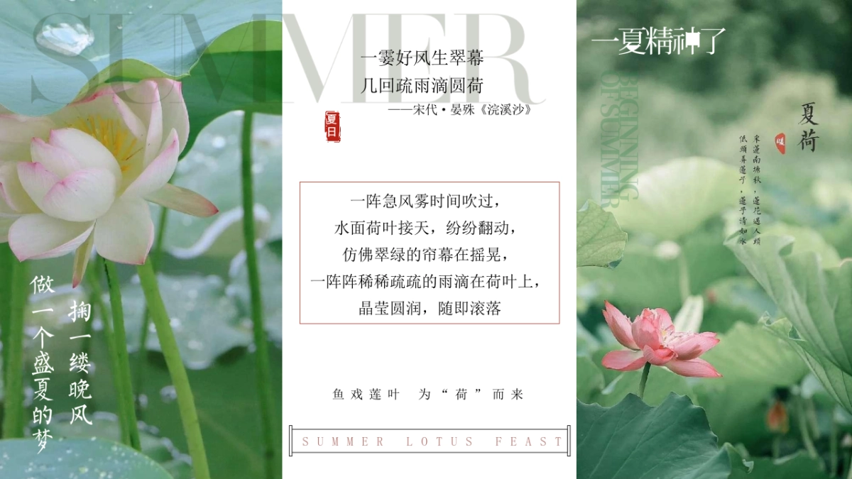 夏季荷花夏日荷花宴主题VIP客户答谢晚宴活动方案_第2页