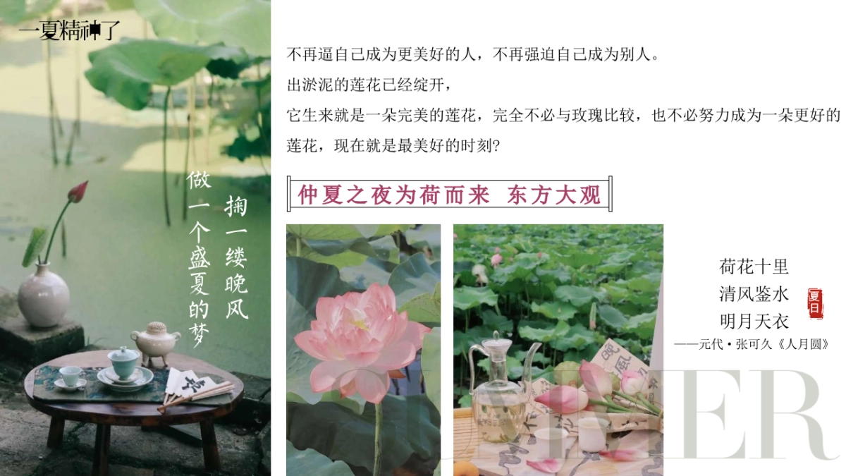 夏季荷花夏日荷花宴主题VIP客户答谢晚宴活动方案_第3页