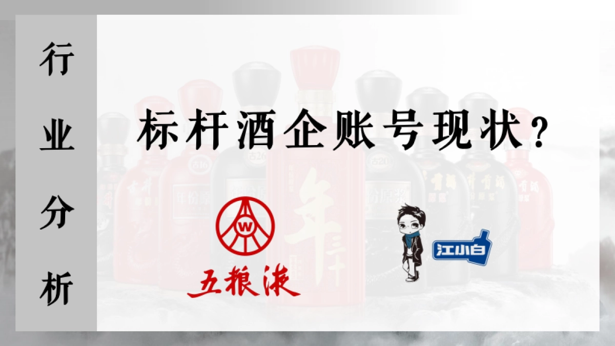 古井贡酒新媒体年度规划方案_第9页