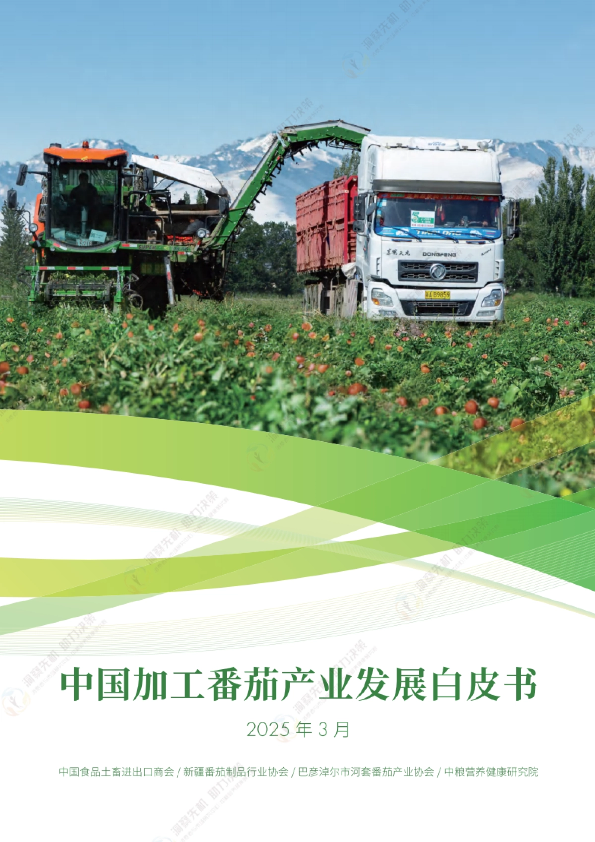 2025年中国加工番茄产业发展白皮书_第1页