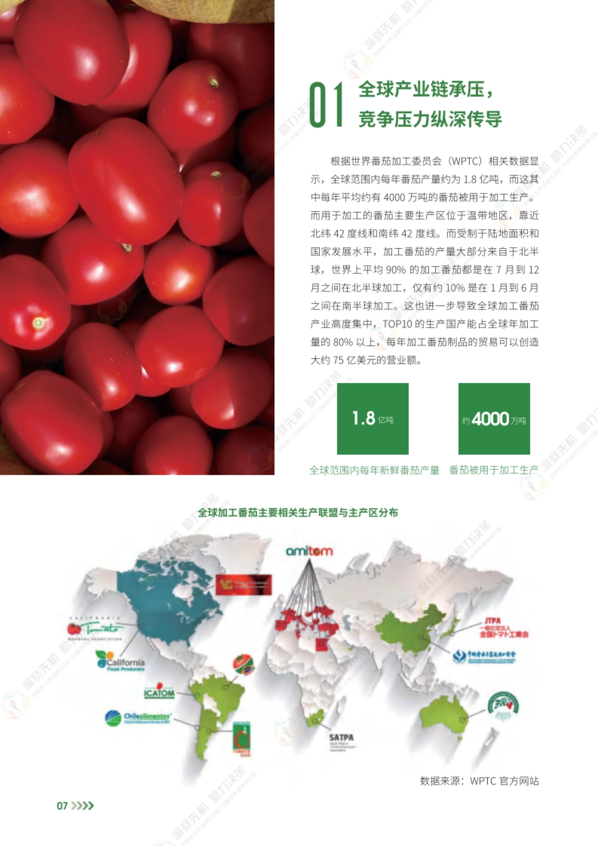 2025年中国加工番茄产业发展白皮书_第10页