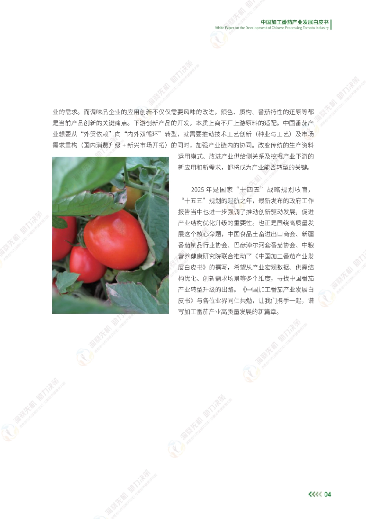 2025年中国加工番茄产业发展白皮书_第7页