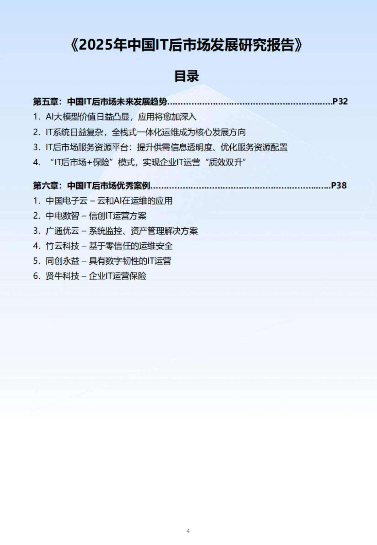2025年中国IT后市场发展研究报告_第4页