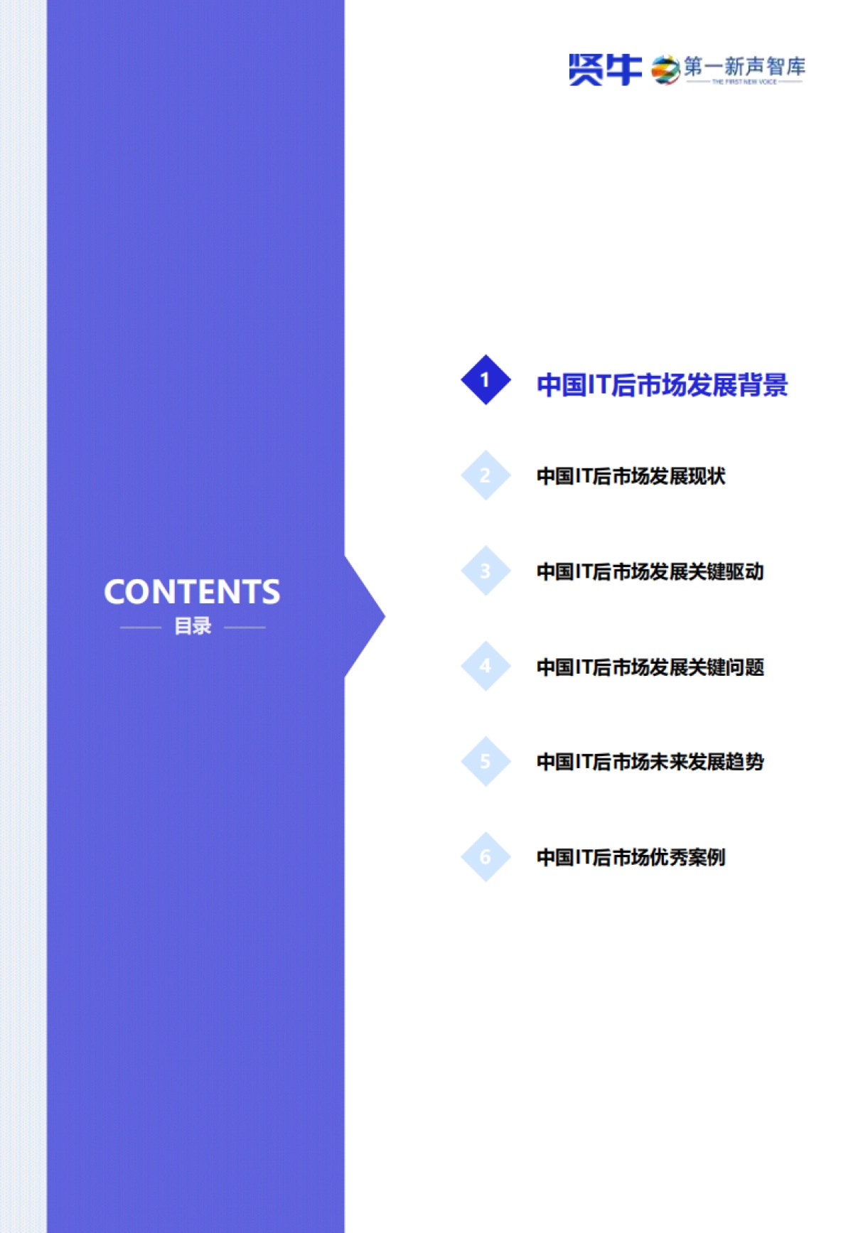2025年中国IT后市场发展研究报告_第5页
