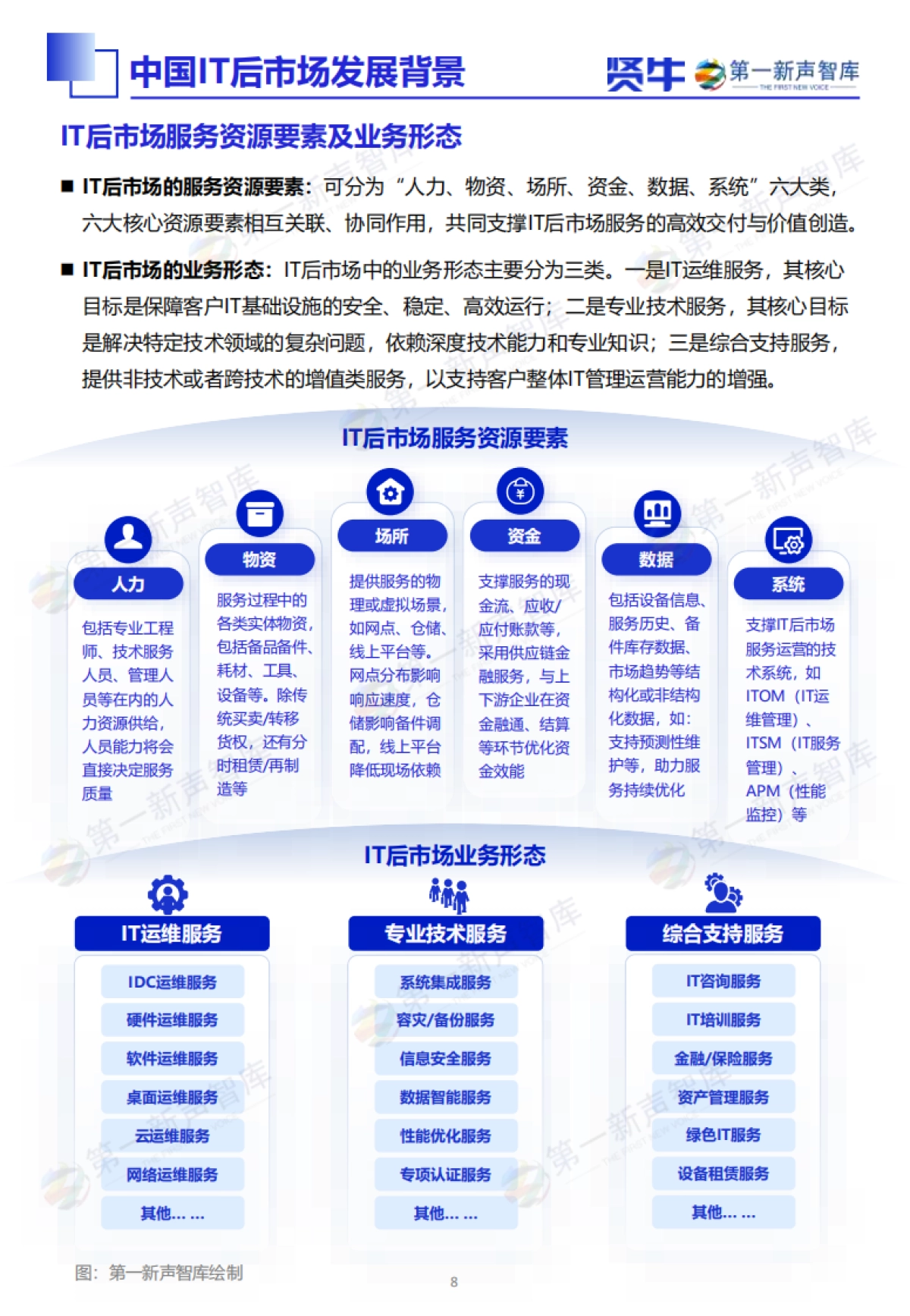 2025年中国IT后市场发展研究报告_第8页