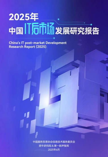 2025年中国IT后市场发展研究报告