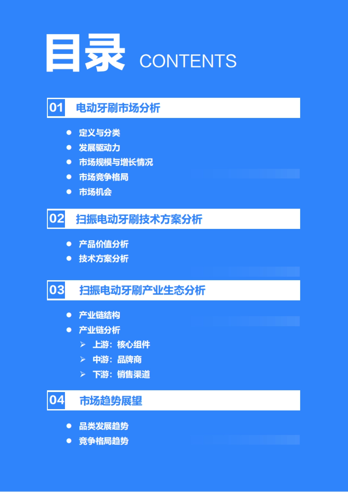 2025年扫振电动牙刷行业研究报告_第3页