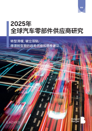 2025年全球汽车零部件供应商研究报告