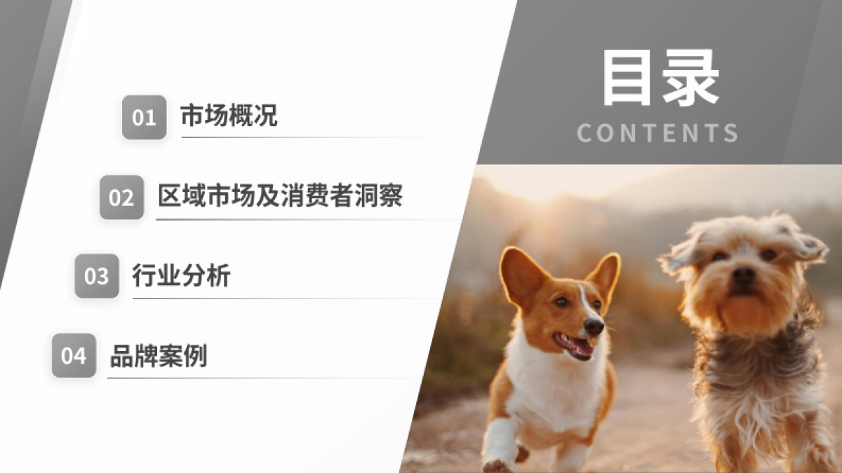 2025年宠物殡葬用品洞察报告_第3页