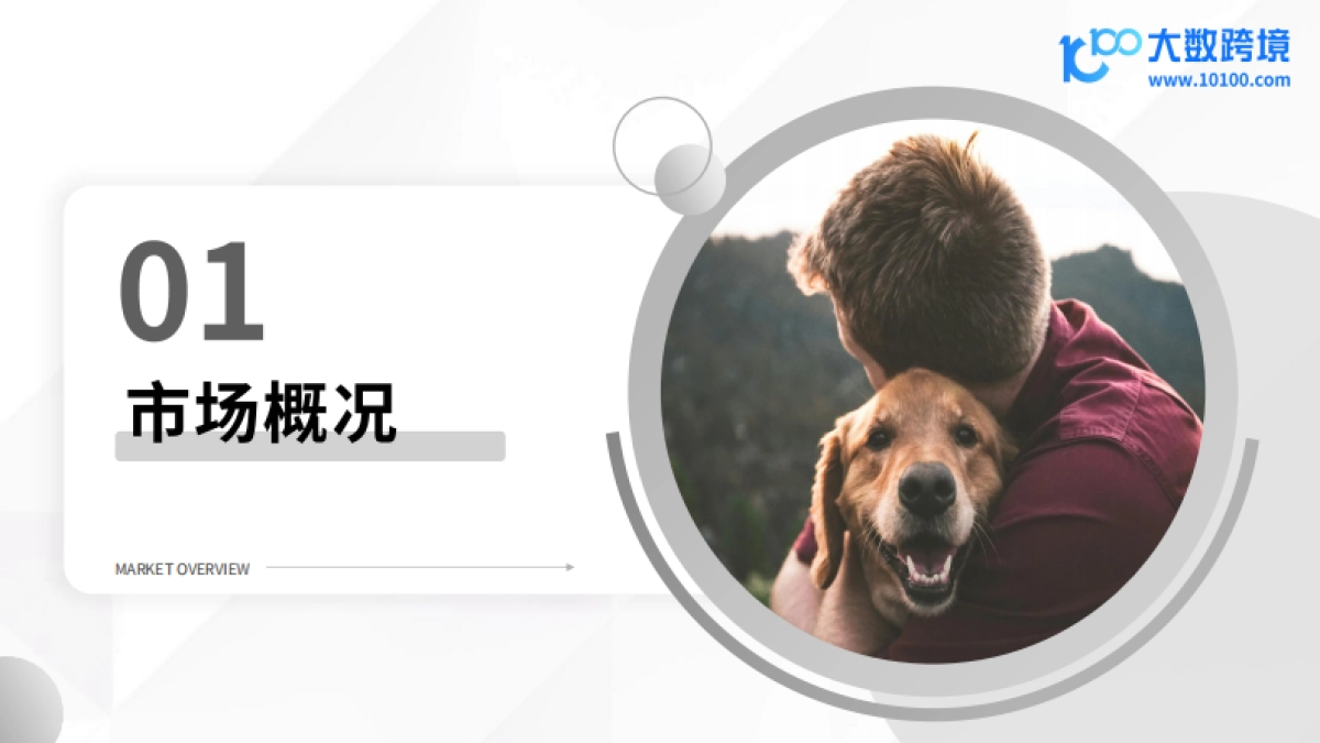 2025年宠物殡葬用品洞察报告_第4页