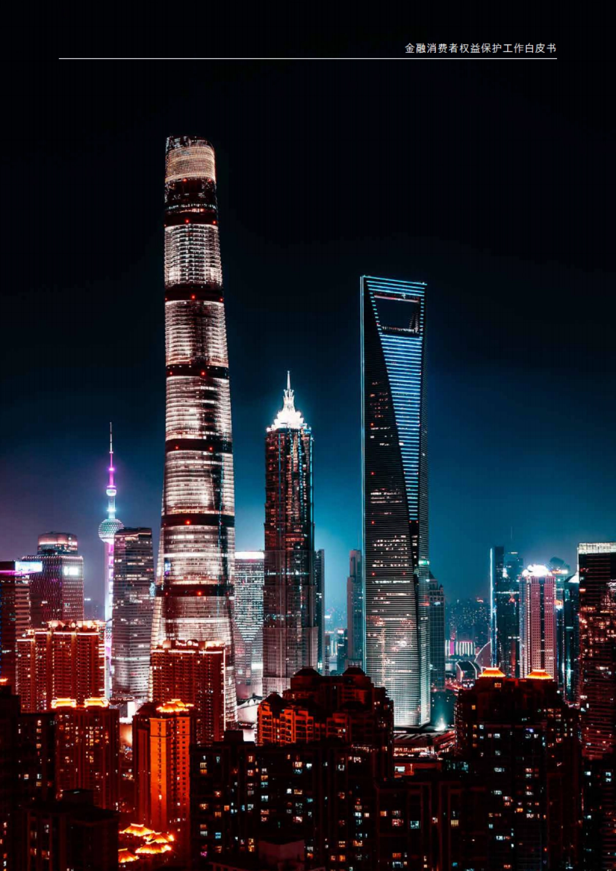 2024年金融消费者权益保护工作白皮书_第3页