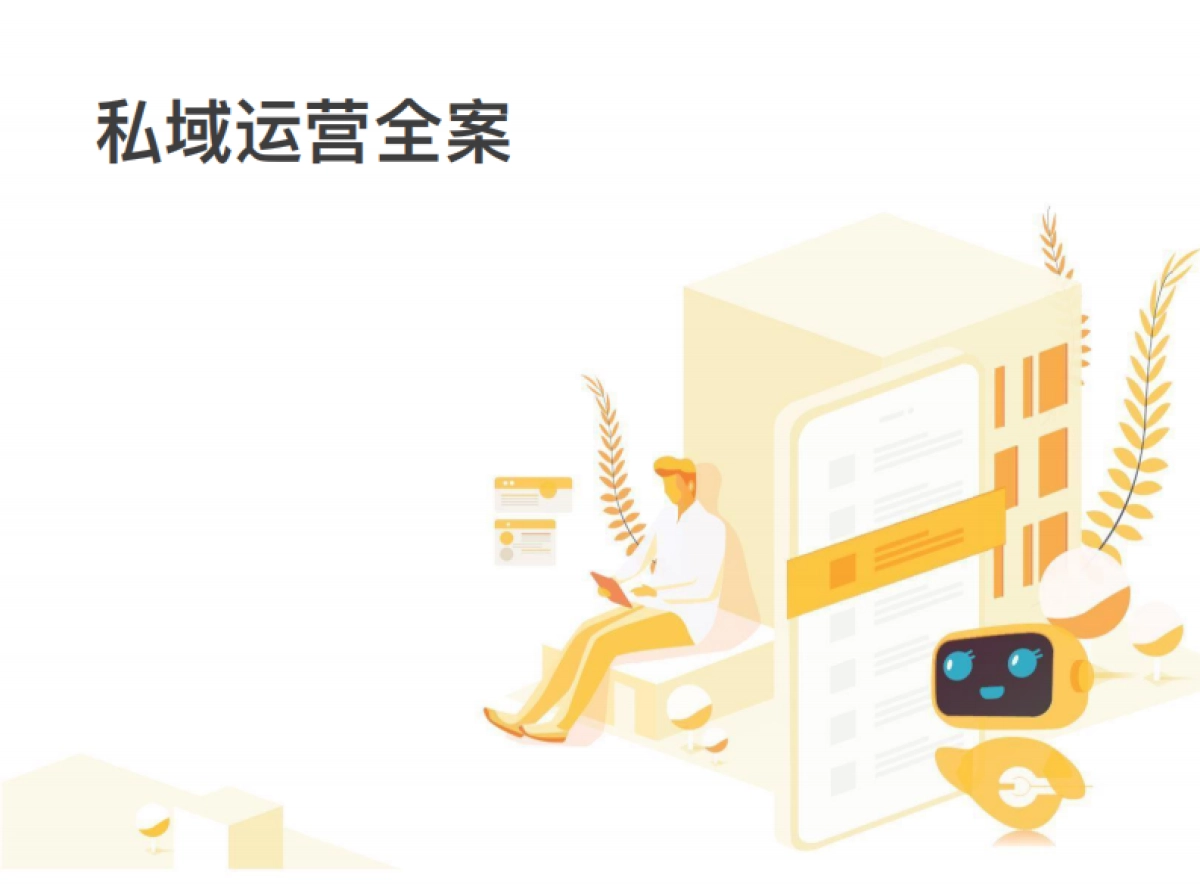 私域运营全案_第1页