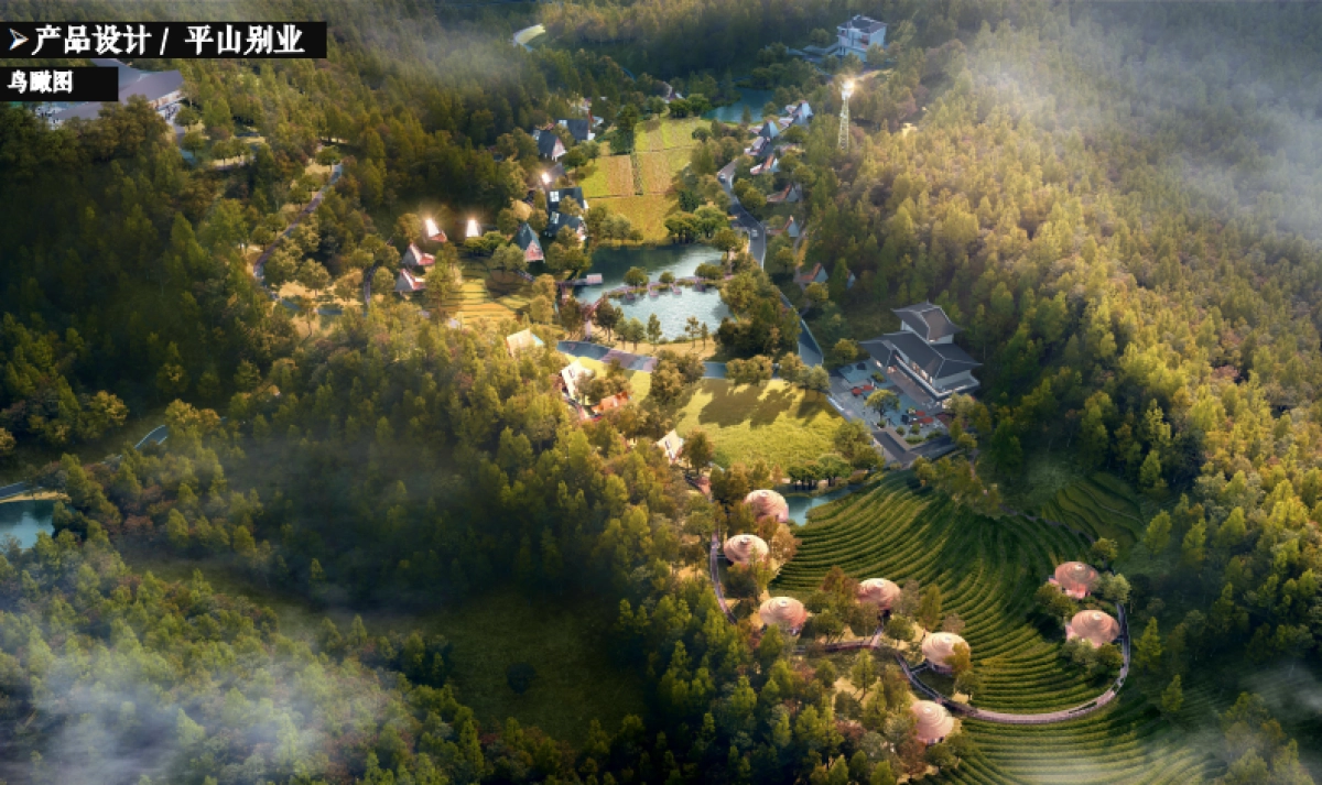 青岛森林疗愈度假民宿酒店度假村业态产品策划方案_第9页