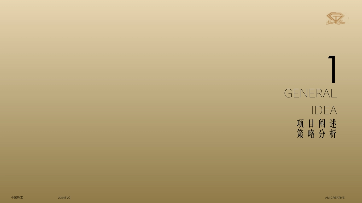 中国珠宝2024品牌TVC_第3页