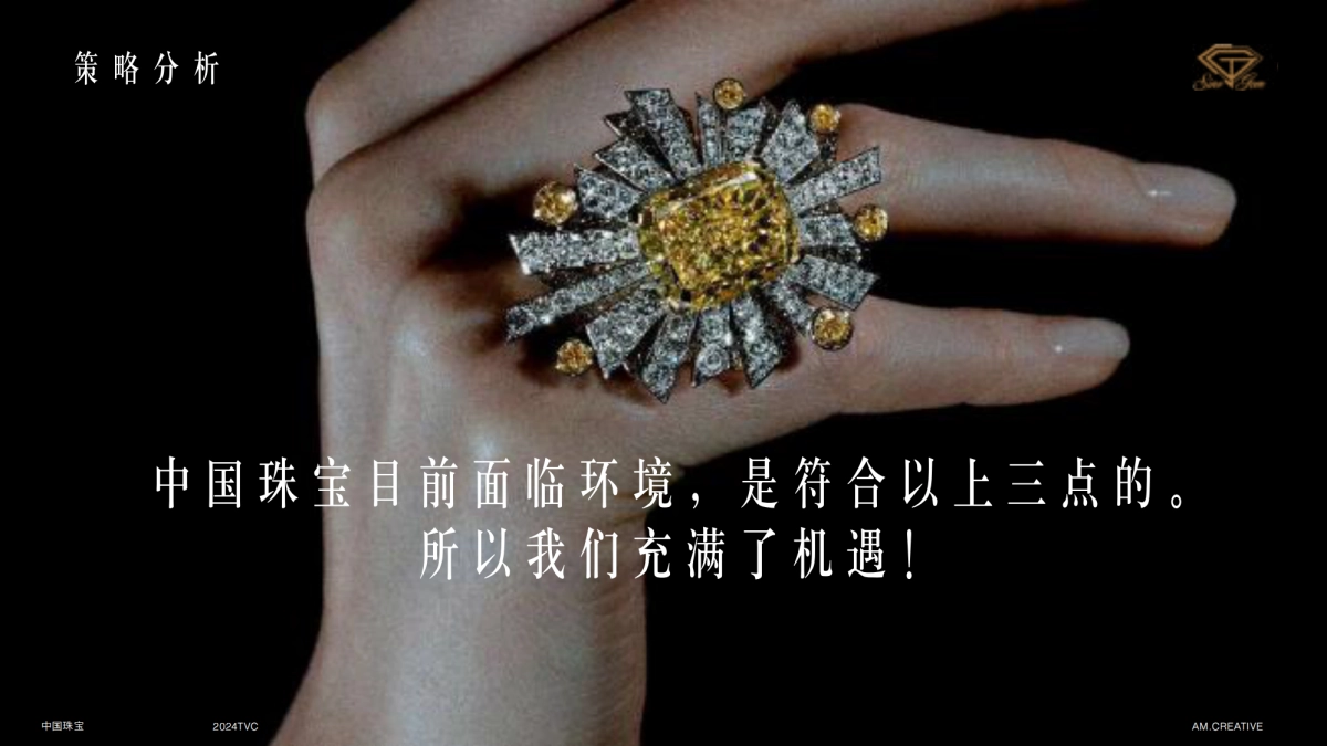 中国珠宝2024品牌TVC_第8页
