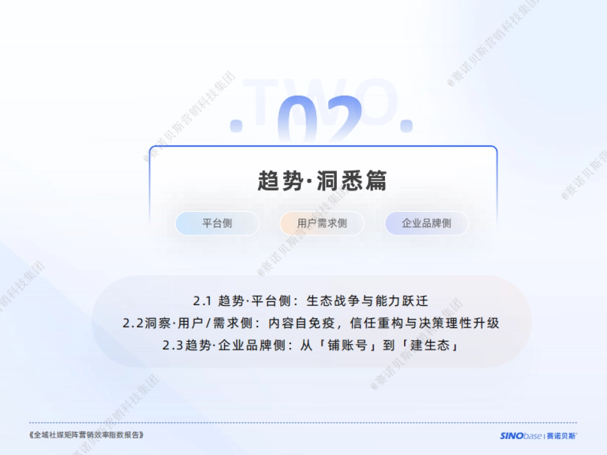 2025年全域社媒矩阵营销效率指数报告_第9页