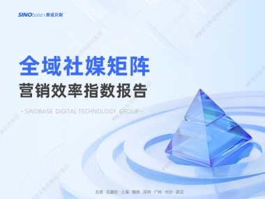2025年全域社媒矩阵营销效率指数报告