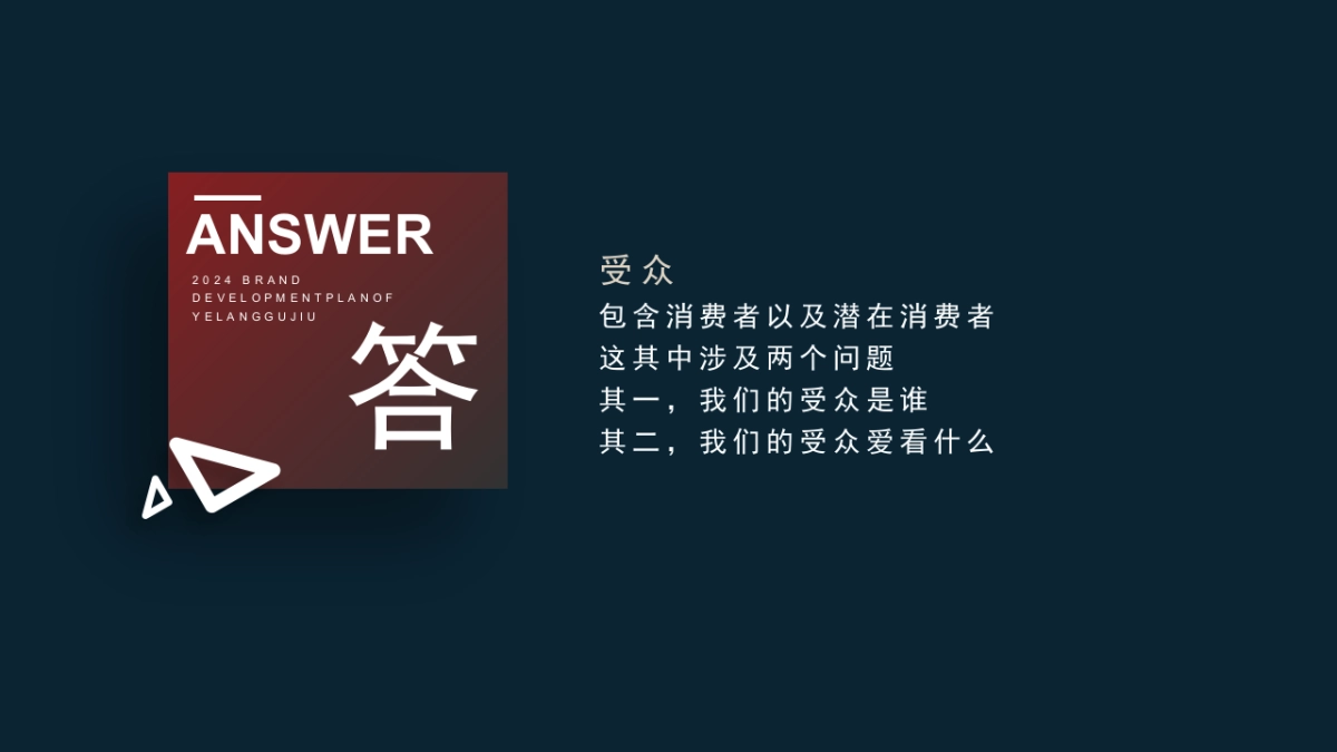 夜郎古酒品牌及产品线升级策划全案_第3页