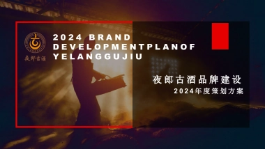 夜郎古酒品牌及产品线升级策划全案