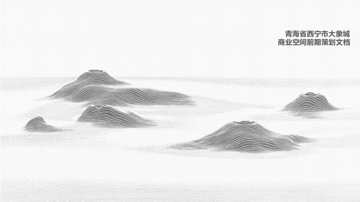 非标商业空间前期概念策划方案_第1页