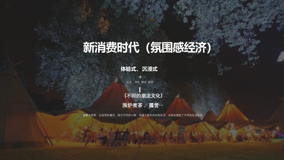 非标商业空间前期概念策划方案_第3页