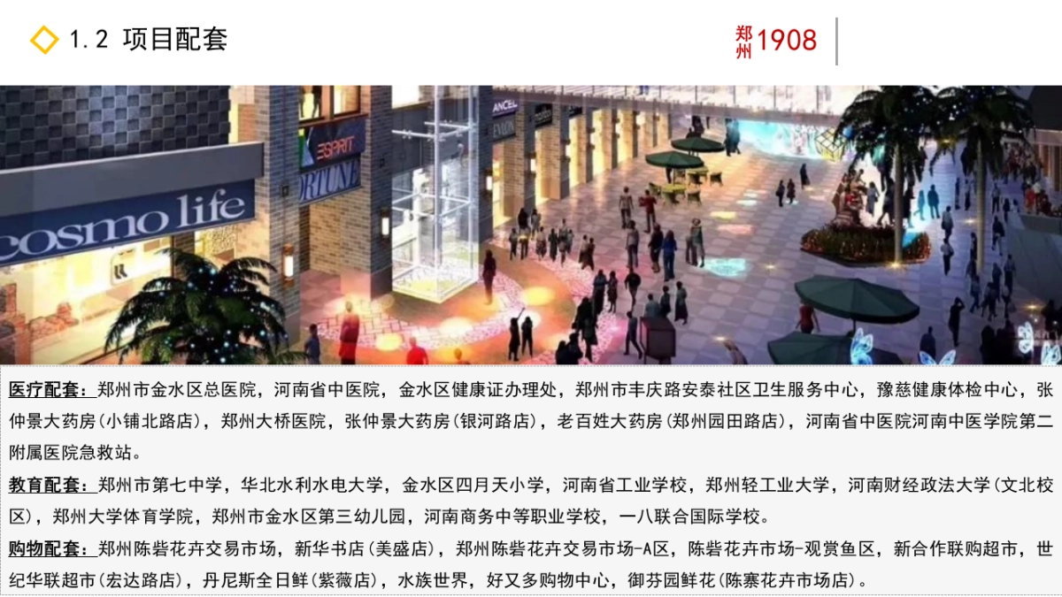郑州1908购物公园招商思路_第5页