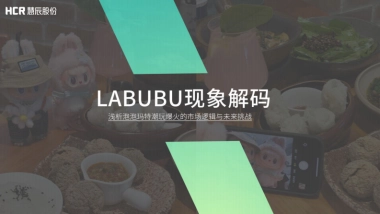 Labubu现象解码：浅析泡泡玛特潮玩爆火的市场逻辑与未来挑战